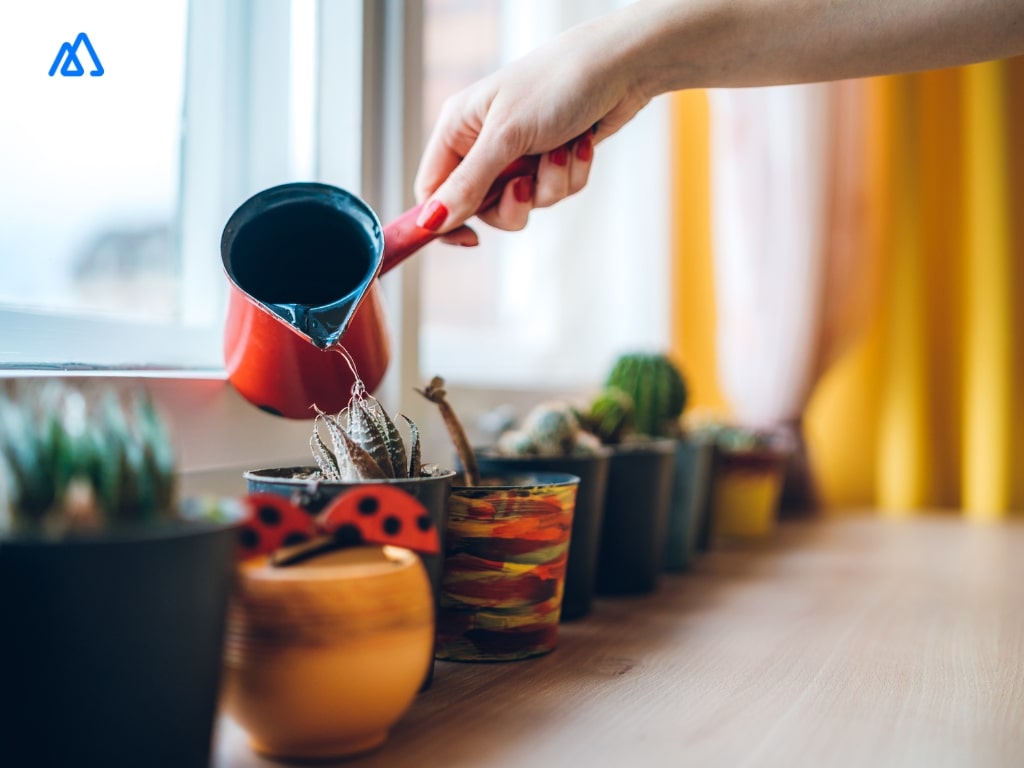 Person watering small plants