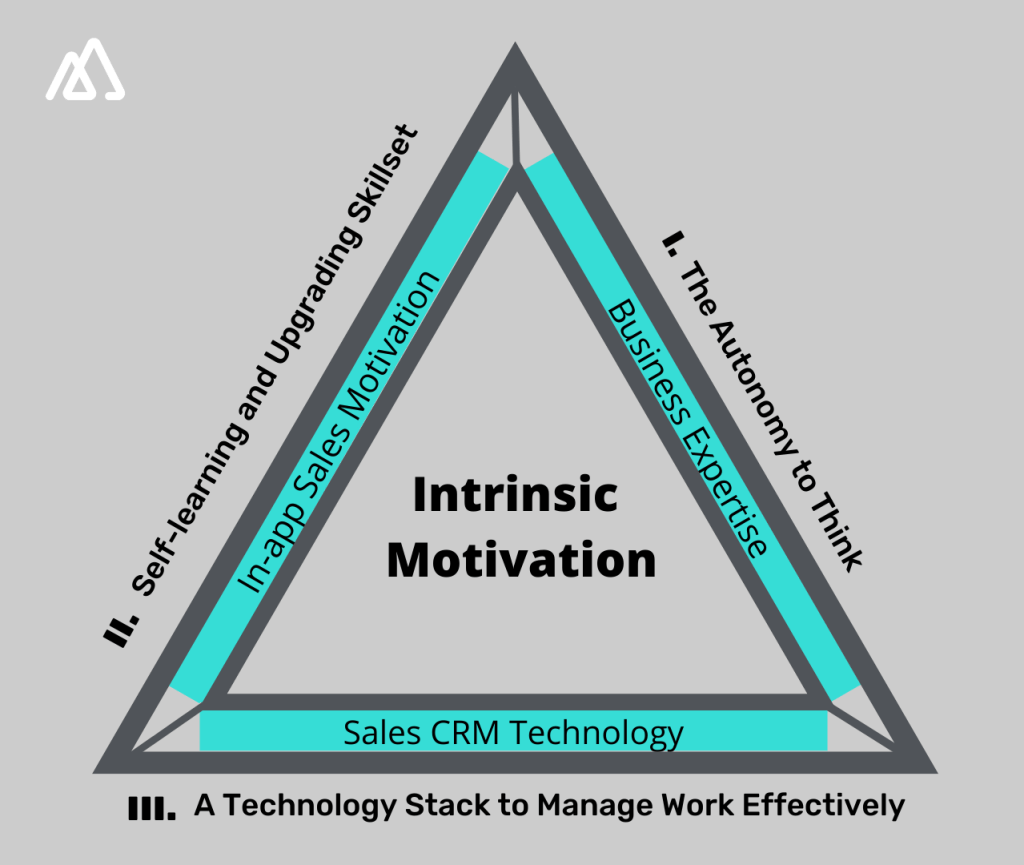 Intrinsic approach to sales motivation approach and its outcomes