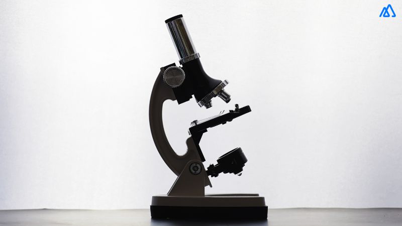 How to Manage your Sales Team without Micromanaging it?