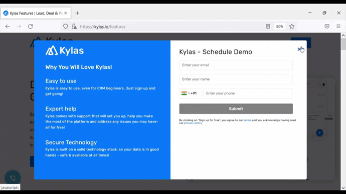 Lead Generation Web Form in Kylas Kylas Lead Gneration WebForm GIf